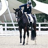 КОБЫЛА KWPN 176 СМ В ХОЛКЕ