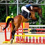 СТАРТОВЫЙ ОПЫТ ДО 140 СМ