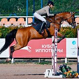 СТАРТОВЫЙ ОПЫТ ДО 130 СМ