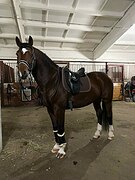 немецкое происхождение