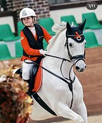 Шикарный импортный мерин в 