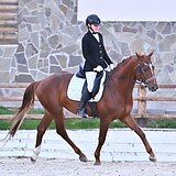 ганновер в выездку