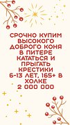 Нужен добрый конь !