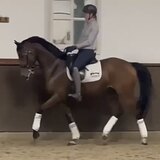 ЛИНИЯ DON JUAN DU HUS