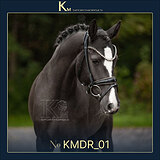 3 летняя пони в выездку