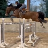 МЕРИН 6 ЛЕТ ОТ MILLION DOLLAR