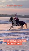 Отличная кобыла хобби-клас