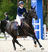 МАРШРУТЫ 120