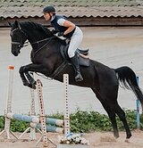 КОБЫЛА В СПОРТ