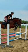в конкур, троеборье 