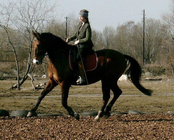 галоп