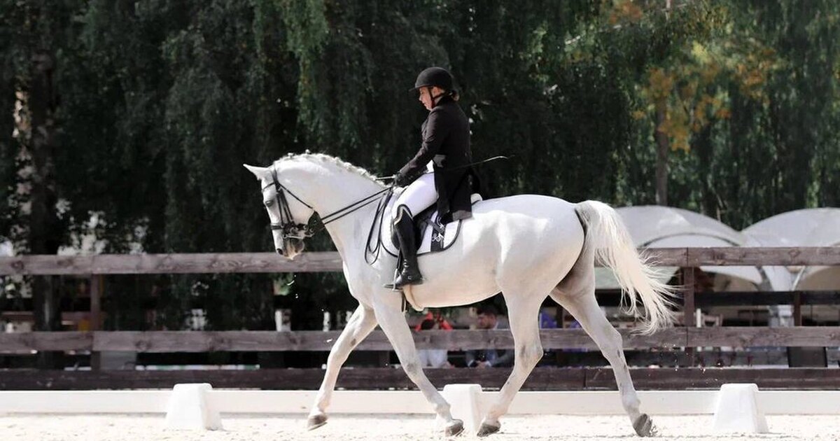 Конный спорт со скольки лет