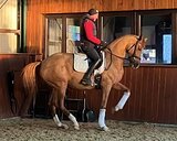 Молодой кандидат на БП!