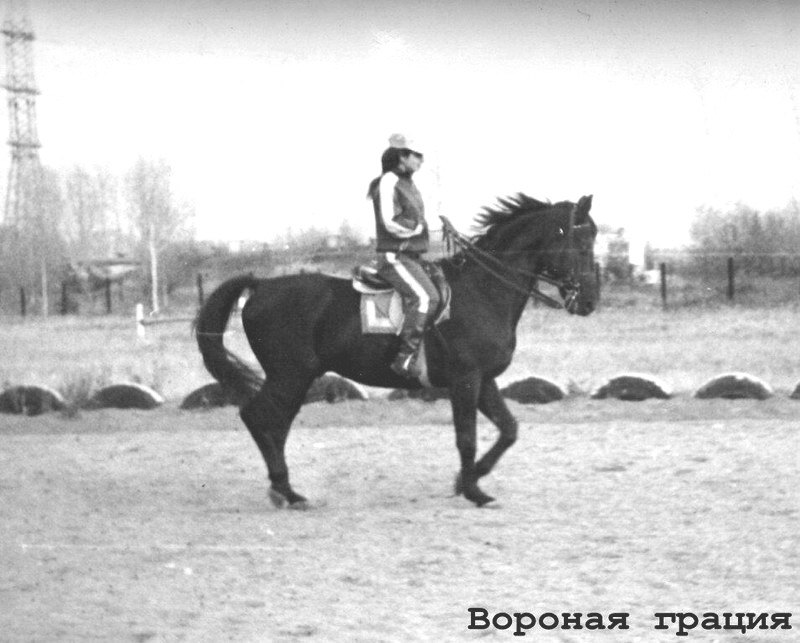 Майер Л. на Граните