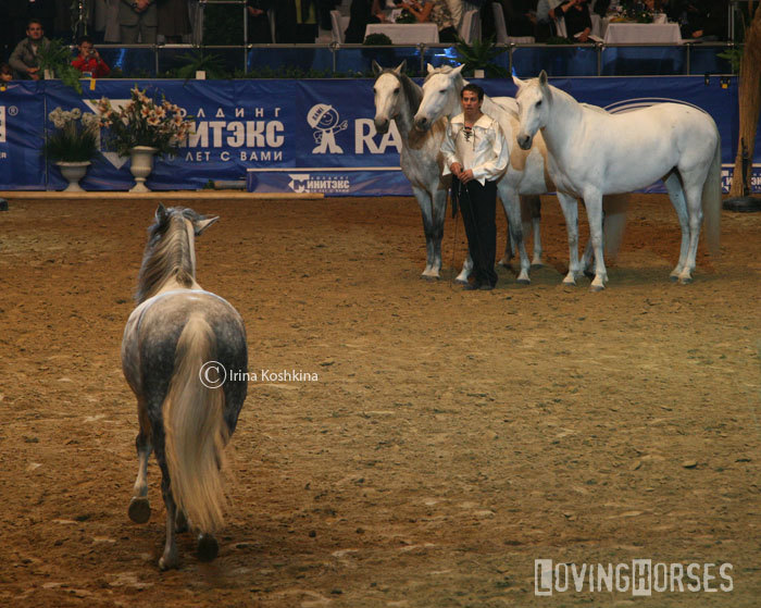 Шоу LORENCO. 8.05.07, Питер. СКК