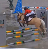 СОЛОВЫЙ ПОНИ В КОНКУР