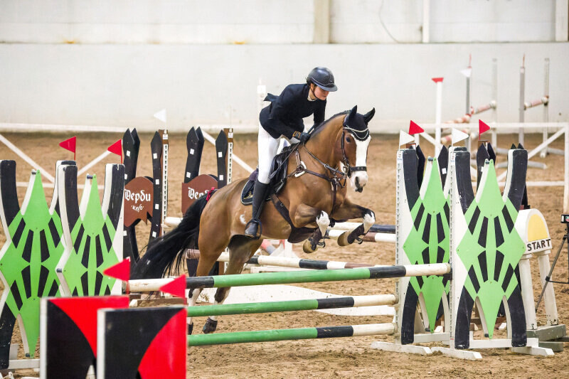 КАПЛЯ ПАМЯТИ-17 и Михайлова Елена