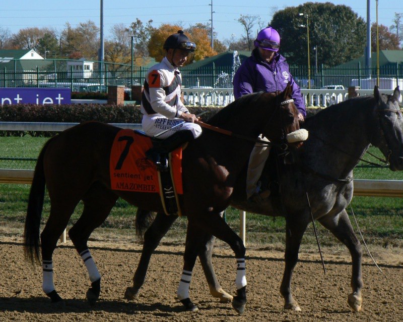 Ипподром Churchill Downs 2011 год, скачка Breeders' Cup Sprint 