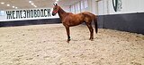 Фараон