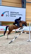 РЫЖИЙ, МАРШРУТЫ 100