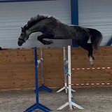 Орловский жер. 2020 гр