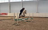 Санни Бой , секция Б