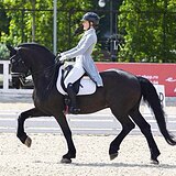 ШИКАРНЫЙ БЕЗОПАСНЫЙ ФРИЗ