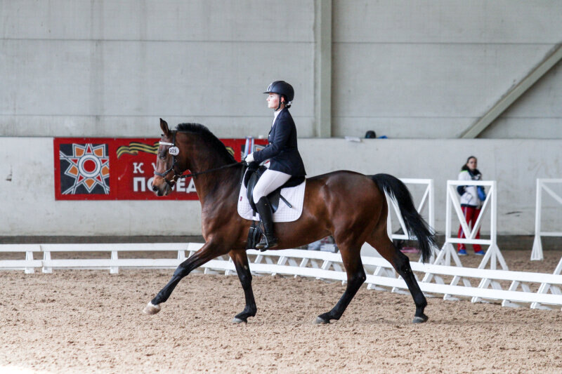 ВИД и Евдокимова Елена
