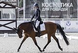 УНИВЕРСАЛЬНЫЙ ВЫСОКИЙ