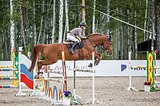 Конкур до 125 см | Призовые ре