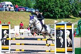 Мерин 2018 гр, 167 вх