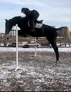 Волгоград