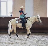 Американский квотерхорс