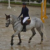 ИМЕЮТСЯ СВЕЖИЕ РЕНТГЕНЫ