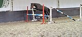 Мартин