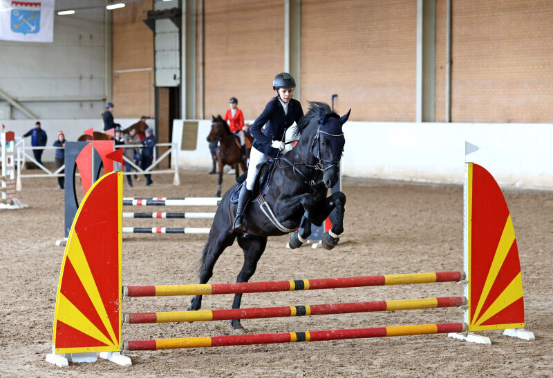 ТЮЛЬПАН-18 и Вологжанина Ирина