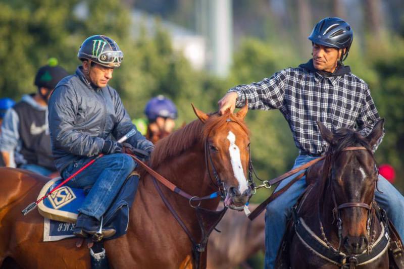 тренировкой. Santa Anita Park 2016.