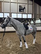 Кобыла под любого всадника