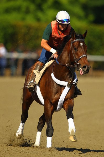 Ипподром Belmont Park 2012 год, подготовка к последнему этапу Тройной Короны - Belmont Stakes.