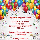 Нужен СУПЕР пони !