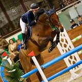 МЕРИН НА МАРШРУТЫ ДО 140 СМ