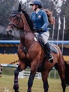 Конкурная кобыла