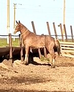 Обзор