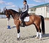 ВЫСОКИЙ МЕРИН В ВЫЕЗДКУ