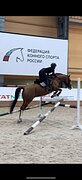Под любого всадника, 5 лет