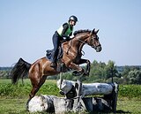 ДК90, маршруты 100, ганновер