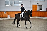 Мерин РВП юношеские езды