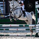 НЕМЕЦКИЙ РАЙД ПОНИ