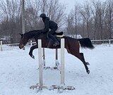 ЗАЕЗЖЕНА ПОД ВЕРХ И В УПРЯЖ