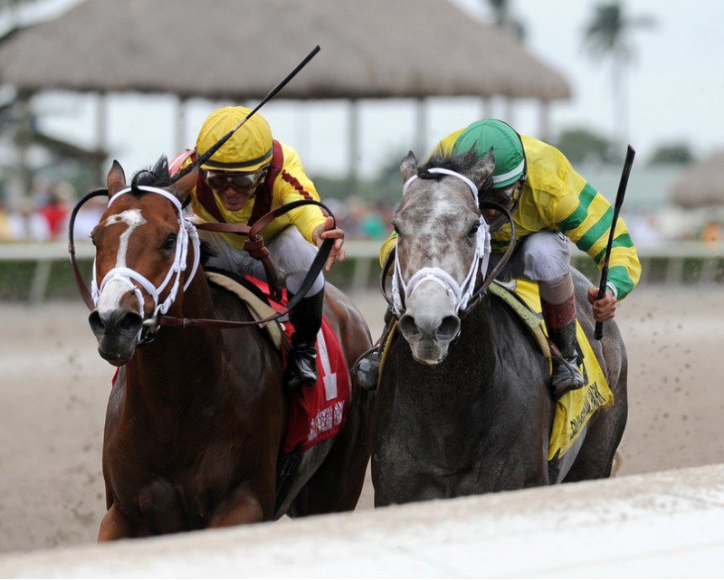 Ипподром Gulfstream Park 2016 год, скачка 	Gulfstream Park Handicap - Gr. 2